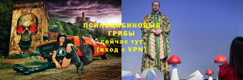 Галлюциногенные грибы прущие грибы  Аткарск 